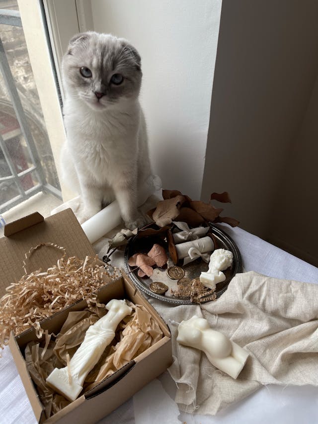 Beyond the Bone: 25 Creative Pet Subscription Box Names & Dog Treat Box Brand Ideas That Click