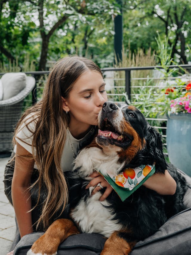 Protecting Your Pawsitive Brand: Essential Trademarking Tips for Pet Startups